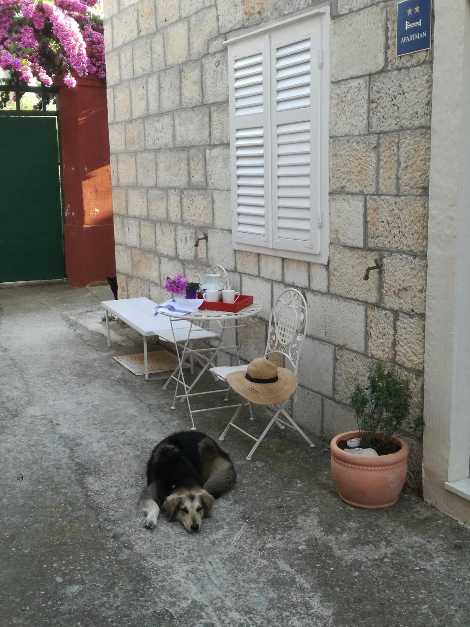 Holiday Home Isabella فيس المظهر الخارجي الصورة